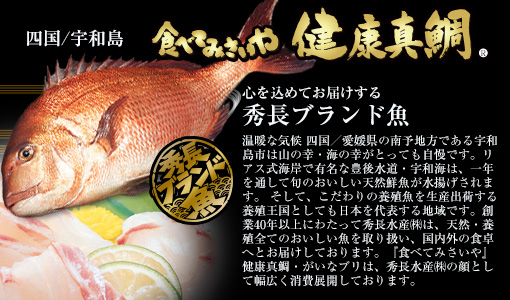 秀長水産のブランド魚「健康真鯛(R)」